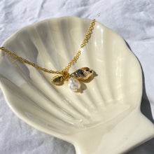 Load image into Gallery viewer, Seashells and Fresh Water Pearl Necklace
