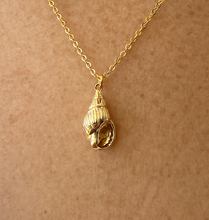 Load image into Gallery viewer, Seashell Necklace
