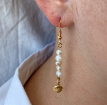 Load image into Gallery viewer, Stacked Fresh Water Pearls with Seashell Earrings
